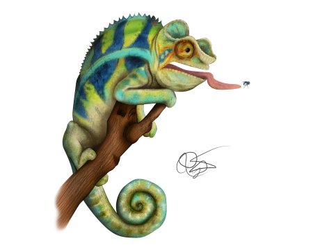 Хамелеон рисунок