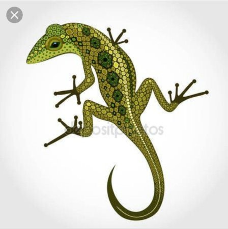 Геккон в художественной