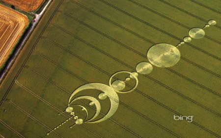 Знаки инопланетян на полях