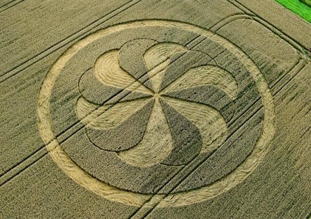 Таинственные знаки на полях