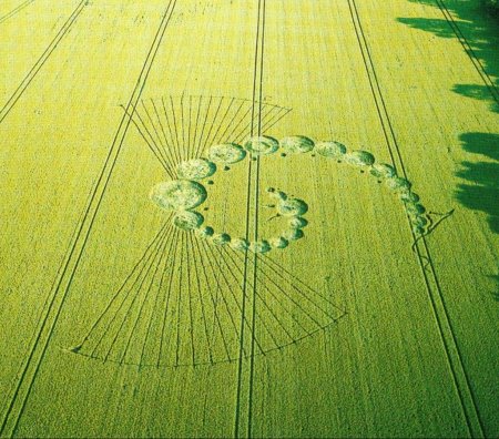 Красивые узоры для полей