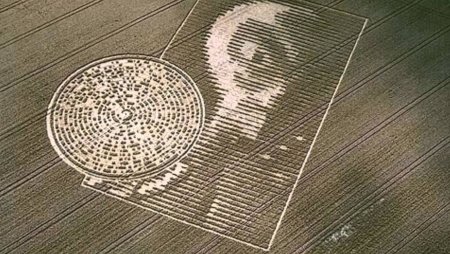 Круги на полях послание инопланетяне
