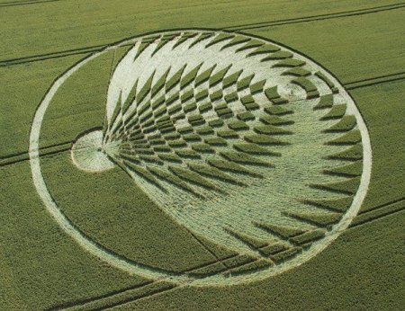 Странные концентрические рисунки на полях