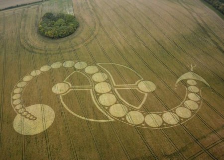 Инопланетные знаки на полях