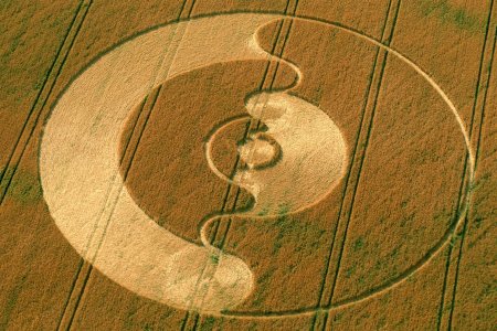 Знаки инопланетян на полях