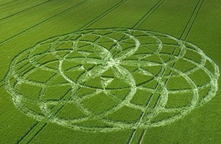 Цветок жизни на полях