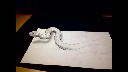 Иллюзии карандашом