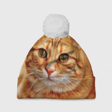 Головной убор для кота