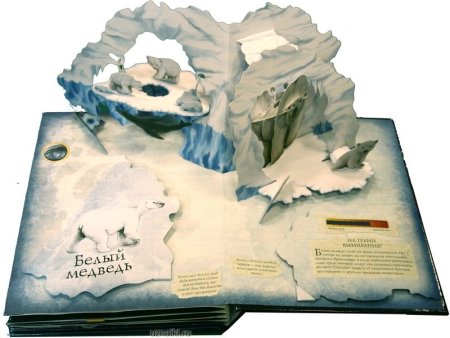 Объемные книги для детей