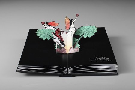 Необычная книжка-раскладушка
