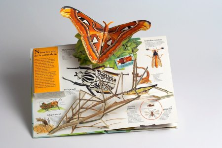 Поп-ап конструкции книга