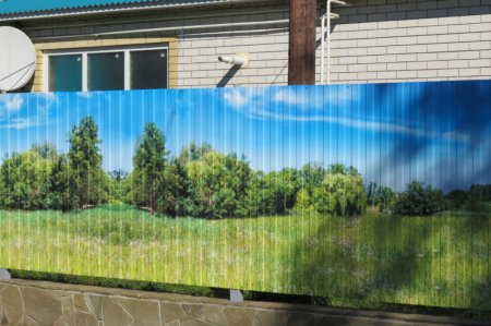 Забор из профнастила с рисунком