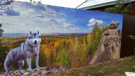 Профнастил с 3д рисунком