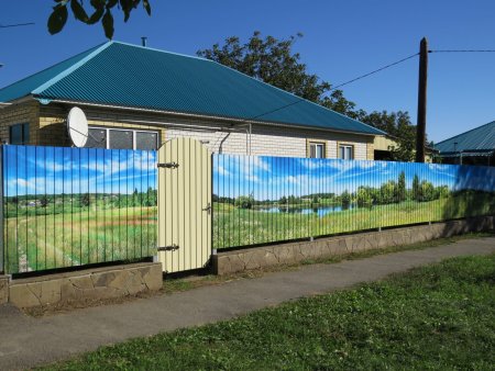 Необычный забор из профнастила