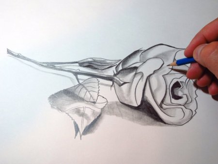 3d рисунки карандашом