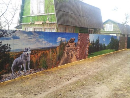 Забор из профнастила изображения