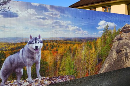 Раскрашенные заборы