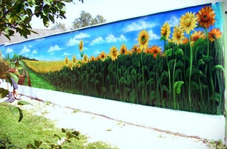 Фотосетка Березовая роща