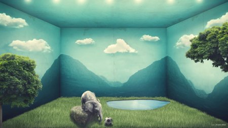 Креативные обои в комнату