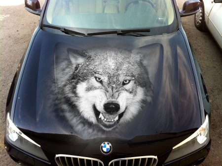 Наклейки на капот автомобиля