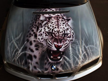 Аэрография на капоте авто