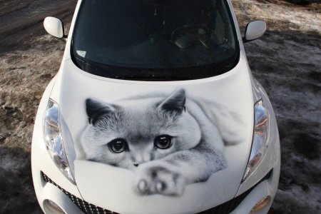 Аэрография кошка