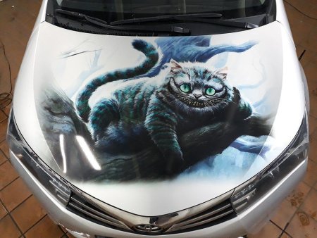 Кот на капот автомобиля