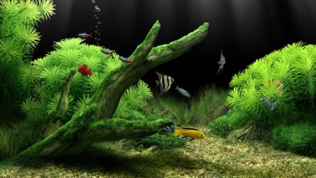 Красные неоны акваскейп