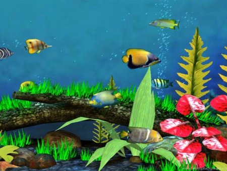 Экранная заставка аквариум