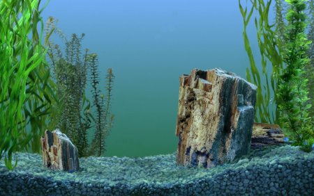 Рыбки в океане