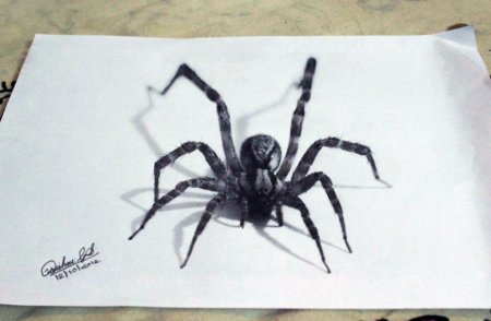 3д паук на бумаге