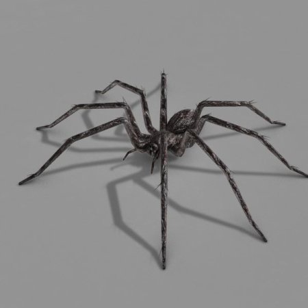 Реалистичный паук