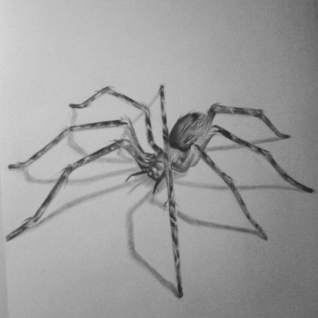 3д паук на бумаге