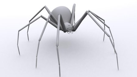 Паук вид сбоку