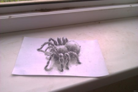 3д паук карандашом