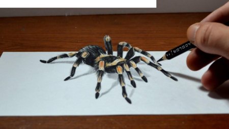 3д паук на бумаге