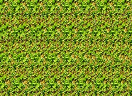 Кристофер Тайлер стереокартинки