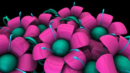 Объемные обои