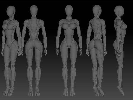 Анатомия для 3d моделлеров