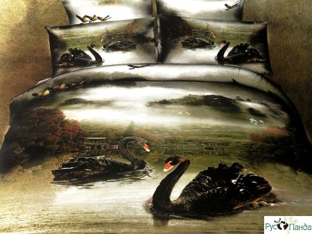 Комплект постельного белья Cleo 1032 3 d