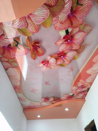 Натяжные потолки Эвита