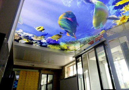 Двухуровневый потолок с фотопечатью