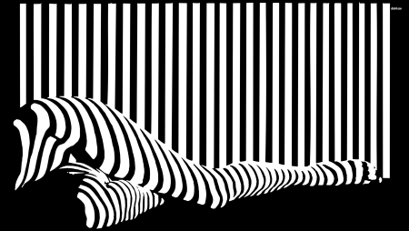 Монохромное изображение