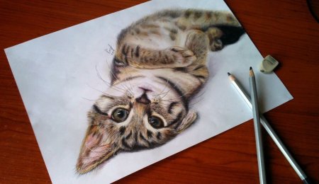 3d рисунки цветными карандашами