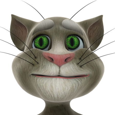 Talking Tom Cat 2