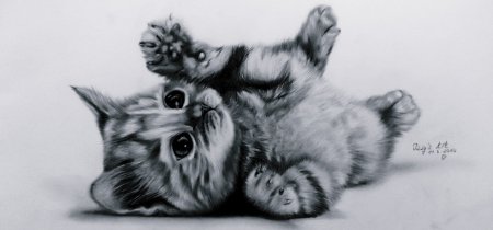 Милый котенок карандашом