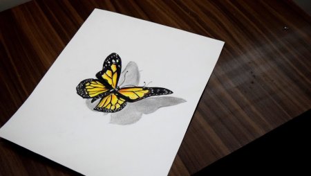 3д бабочка карандашом