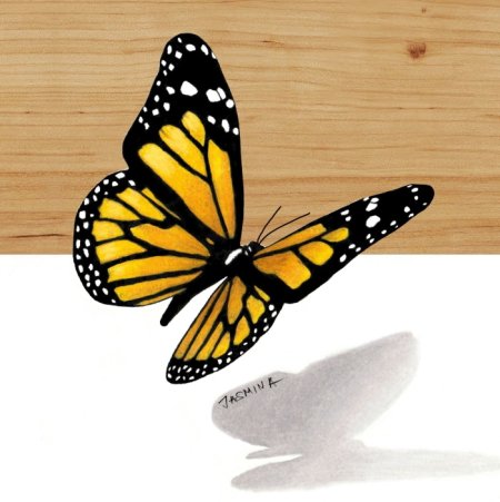 Бабочка 3д рисунок