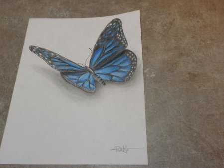 Бабочки три д карандашом