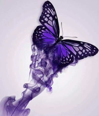 Сиреневая бабочка тату